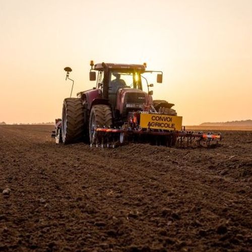 Les semis d'automne et le blé